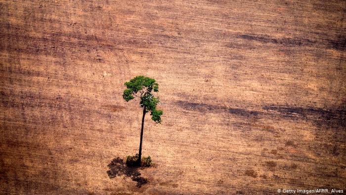 Protagonismo do Brasil na agenda ambiental sob ameaça